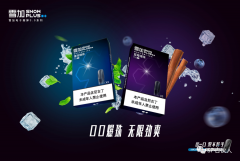 雪加线下加盟，彰显其速度和实力
