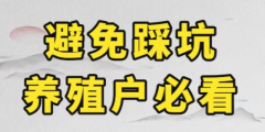 兆源防堵排污泵与传统普通排污泵的区别到底在哪里？